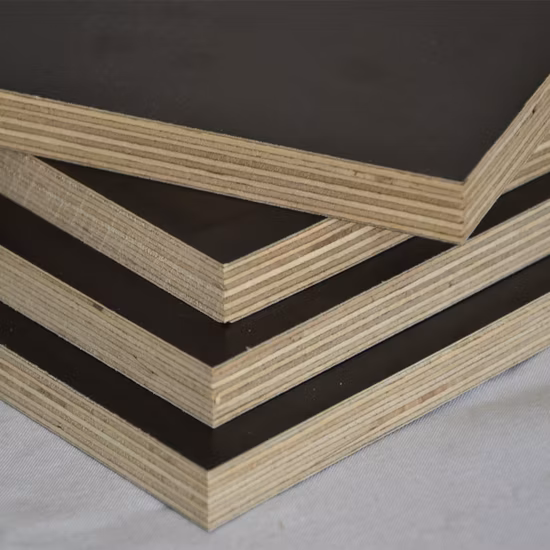 Produttore di pannelli per casseforme rivestiti in pellicola, pavimenti per contenitori, compensato in resina fenolica